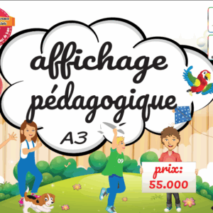 Affichage pédagogique A3